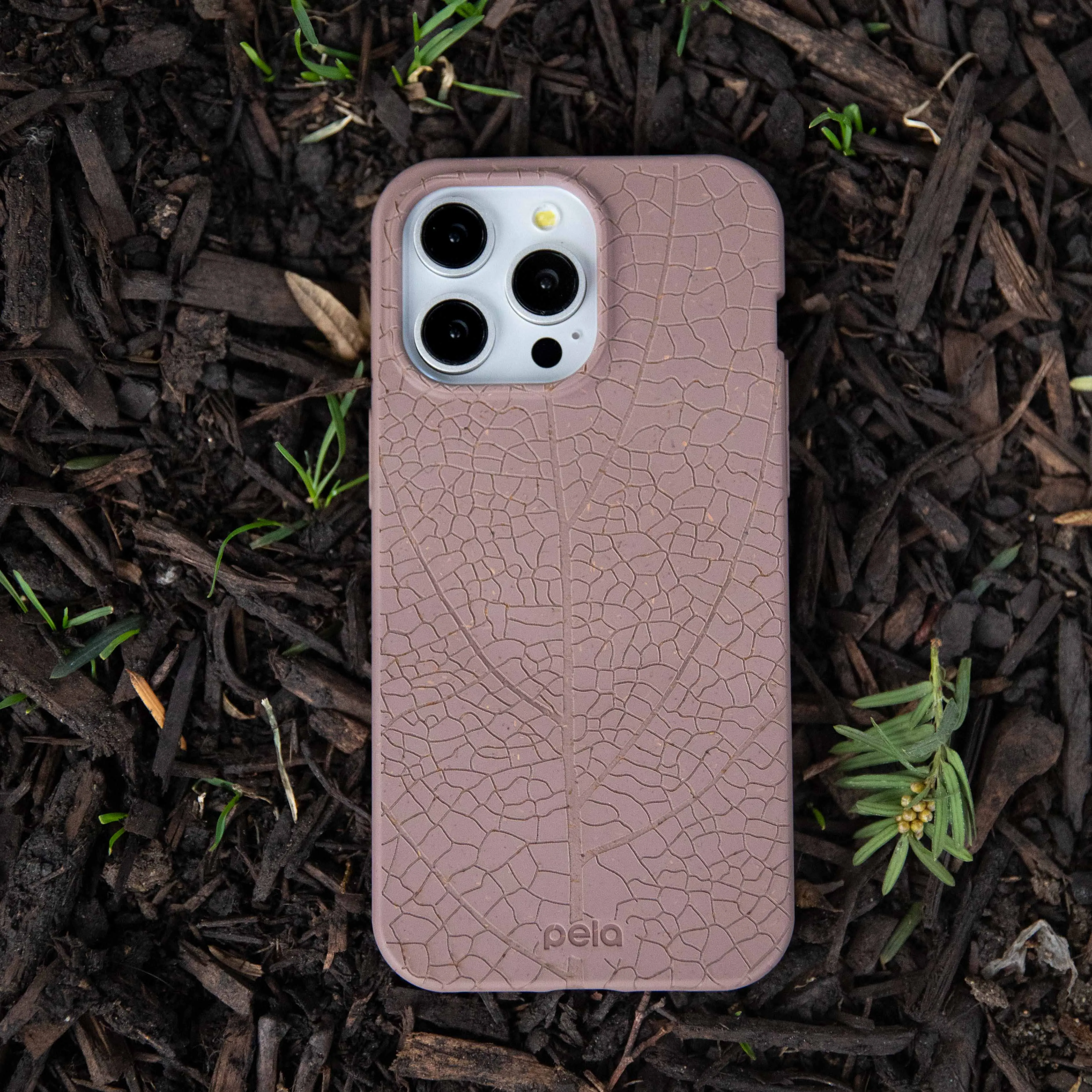 Smooth Surface Layer Chocolate Brown Leaf Veins iPhone Air Case