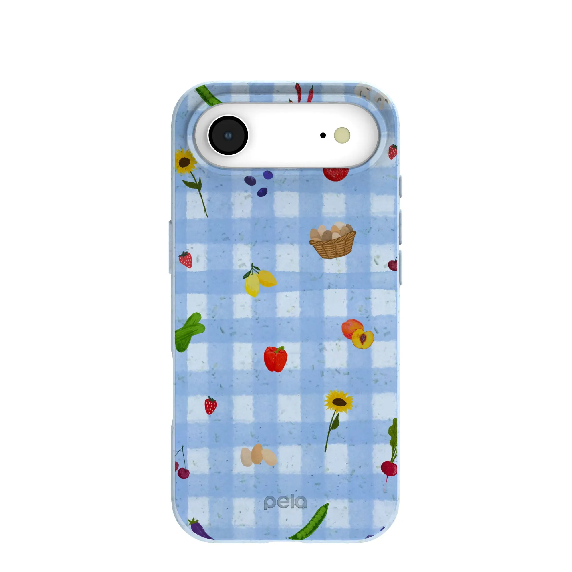 Powder Blue Gingham Farmhouse iPhone Air Case Fashion Forward
