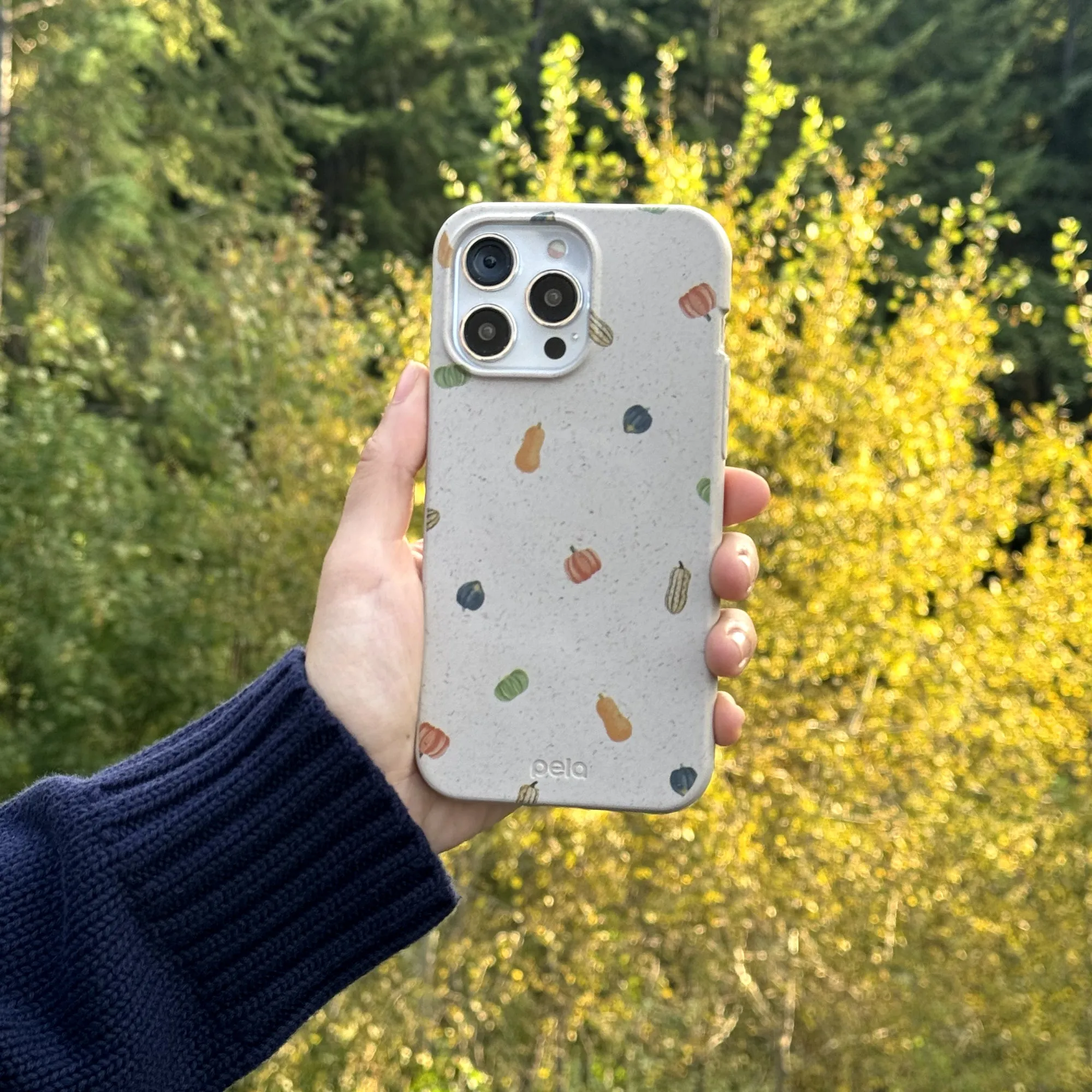 Seashell Squash Garden iPhone Air Case Strong Surface Colorful Accent